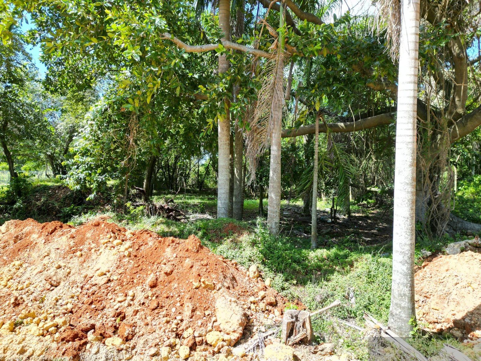 Residential Lots for Sale in La Mulata, Sosúa | Financing Available — photo 3