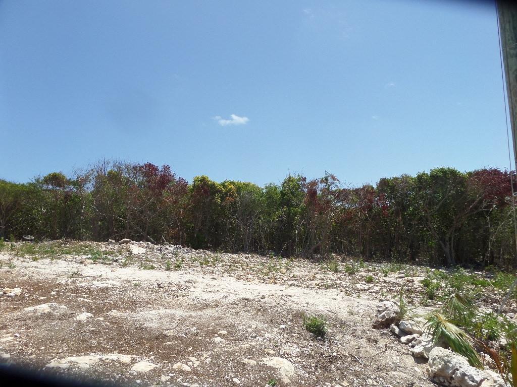 LOT# 7 STELLA MARIS — photo 4