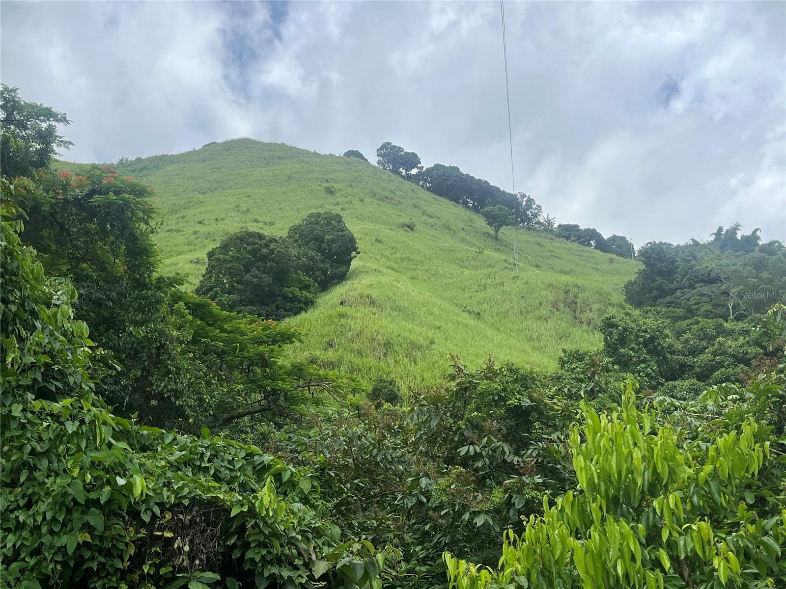 30 cuerdas of natural beauty to farm or for your agrotourism project — photo 1