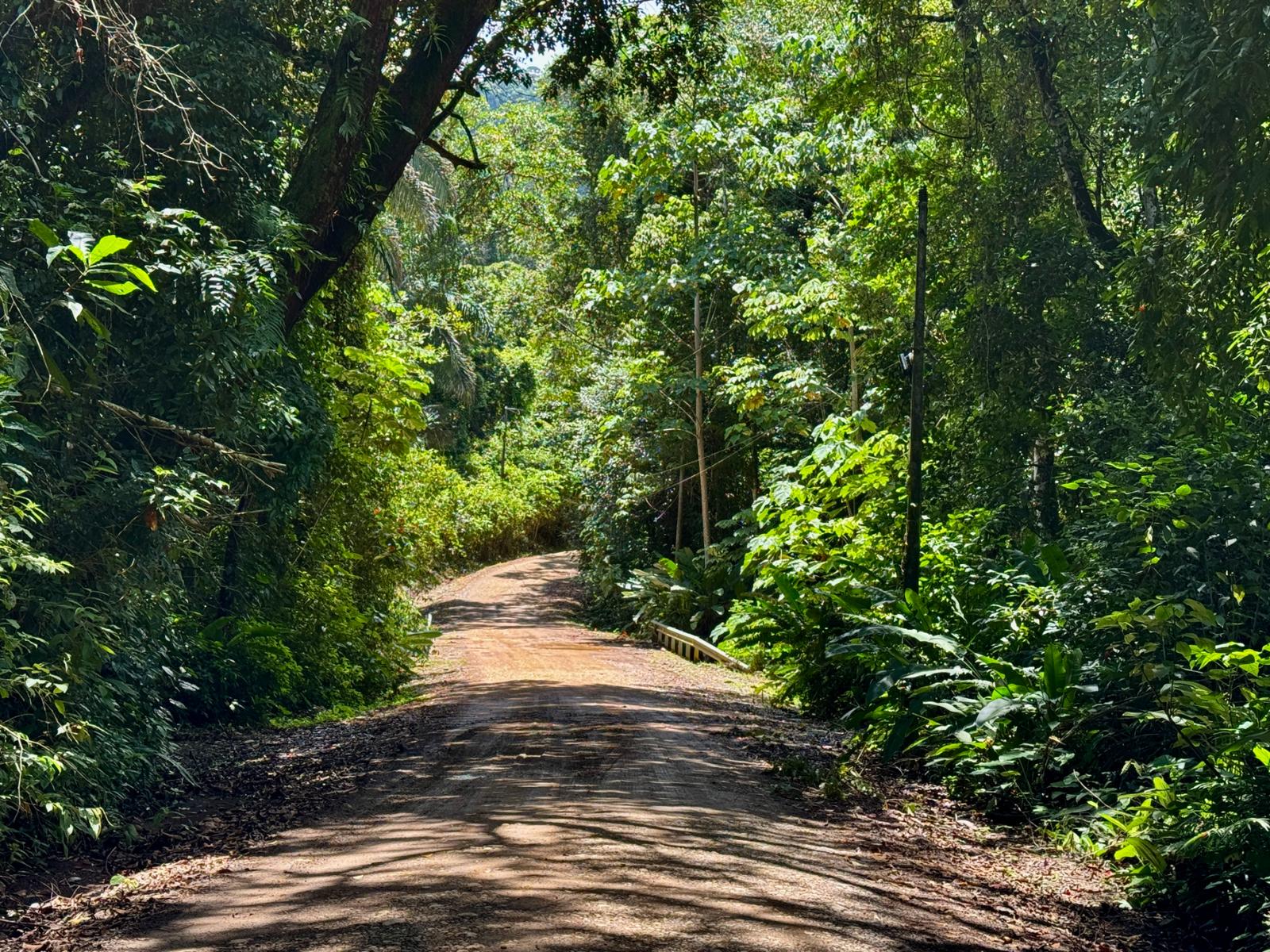 6 Acres of Land for Sale in Escaleras, Dominical, Puntarenas, Costa Rica — photo 5