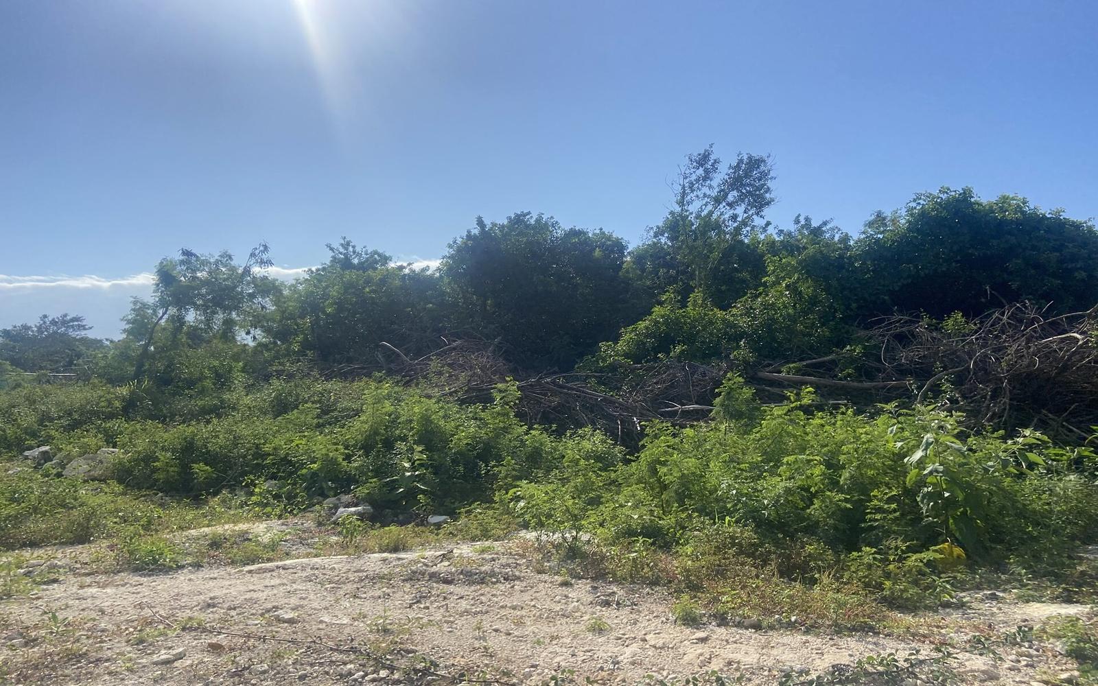 Multi-family Lot Off Carmichael Road - MLS 56678 — photo 5