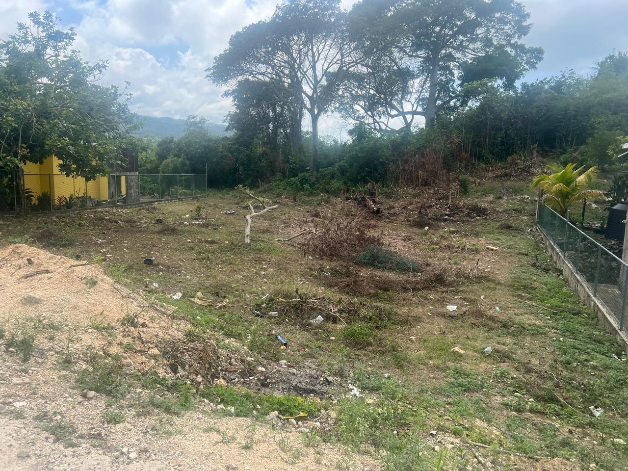 CASSIA AVENUE, IRWIN, MON St. James Irwin — photo 2