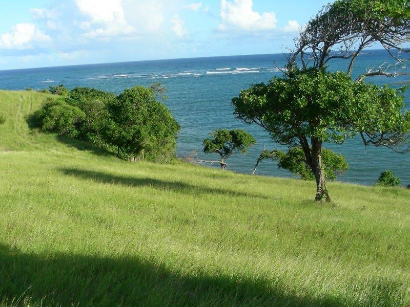 116 Acres Beachfront Land for Sale in Savannes Bay, St. Lucia — photo 4