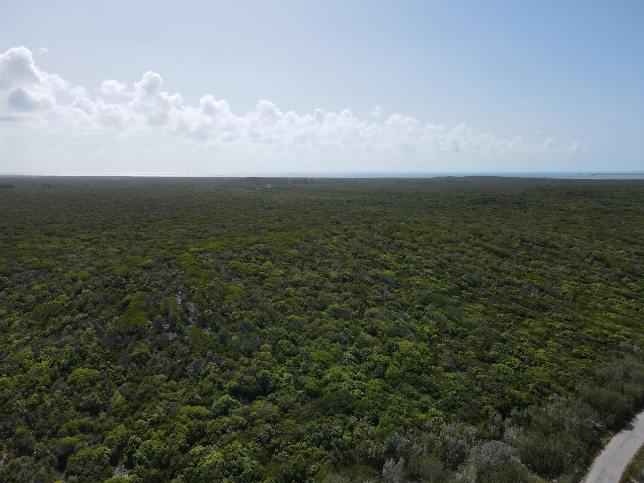 120 Acres Doctor's Creek — photo 2