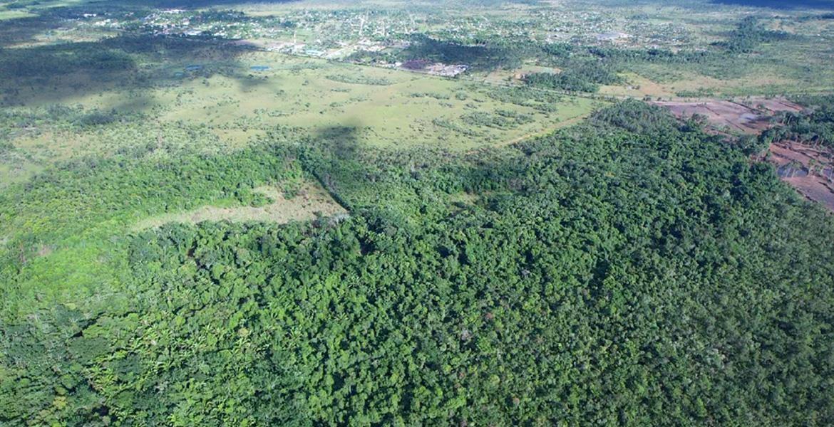 97 acres of Stunning Jungle Paradise near Santa Cruz — photo 2