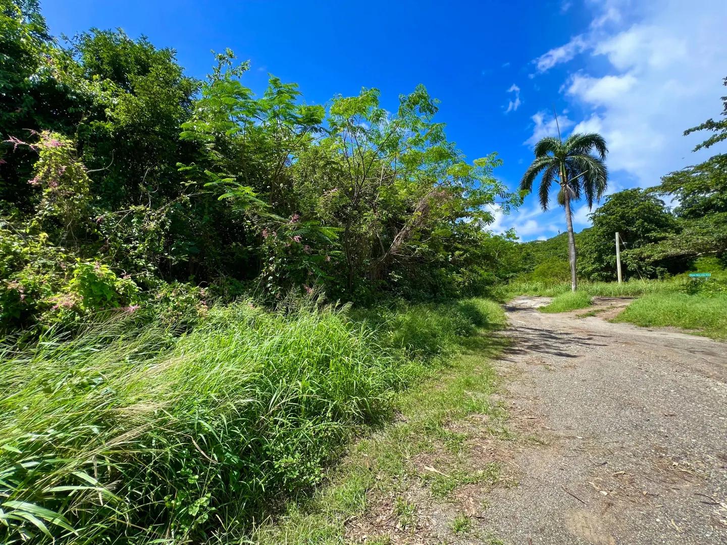 3.94 Acre Beachfront Homesite in St. Thomas — photo 5