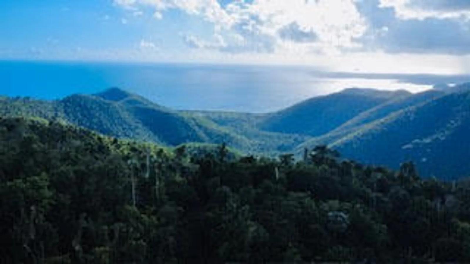 0.5 Acre Lot Homesite in Coral Bay — photo 4
