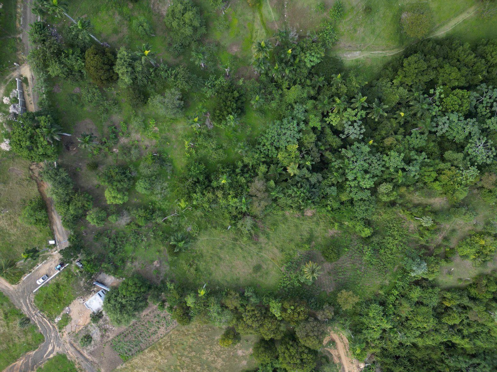 Ocean View Land for Sale in La Uva, Puerto Plata — photo 4