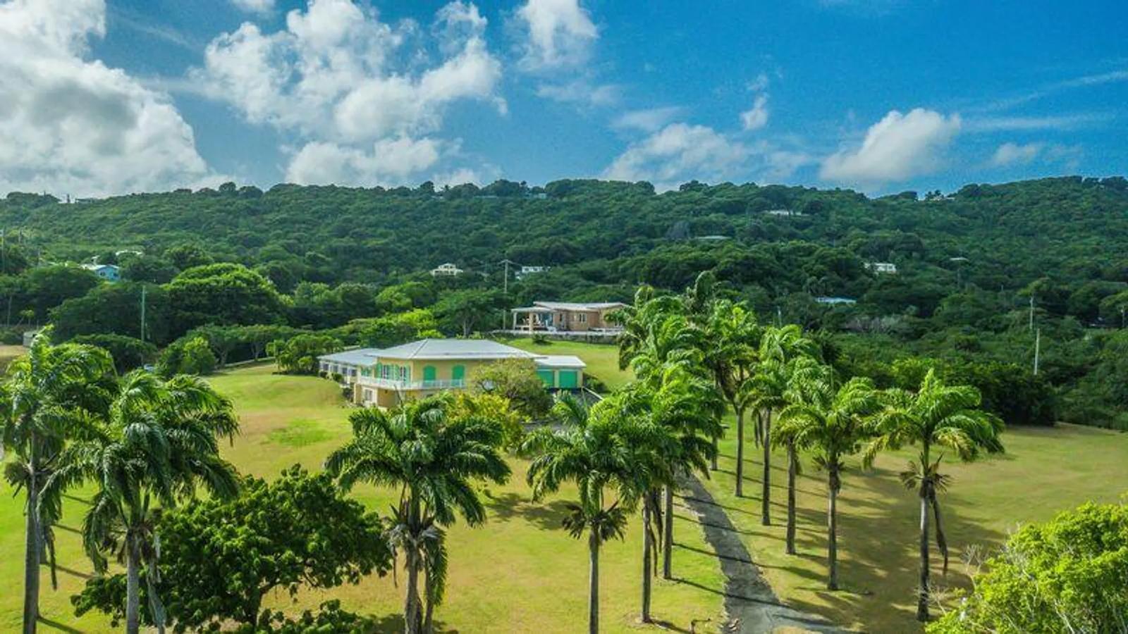 5 Bed 5 Bath Villa with Apartment in US Virgin Islands — photo 3