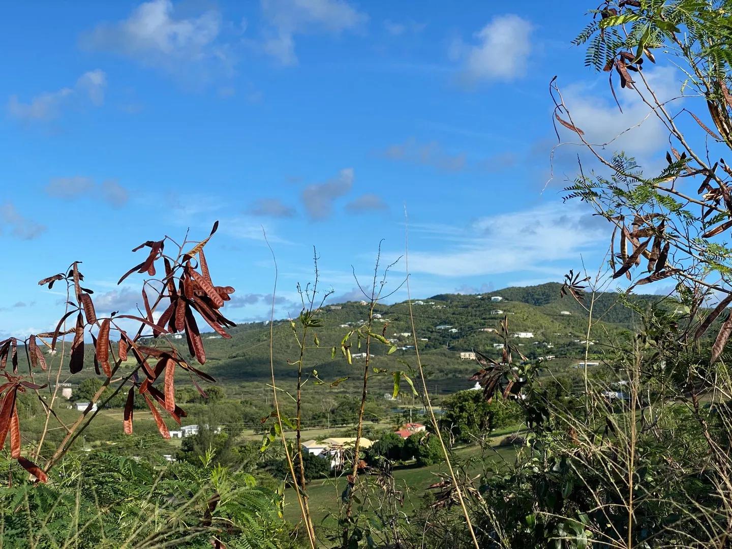 Homesite with Buck Island & Green Cay views — photo 2