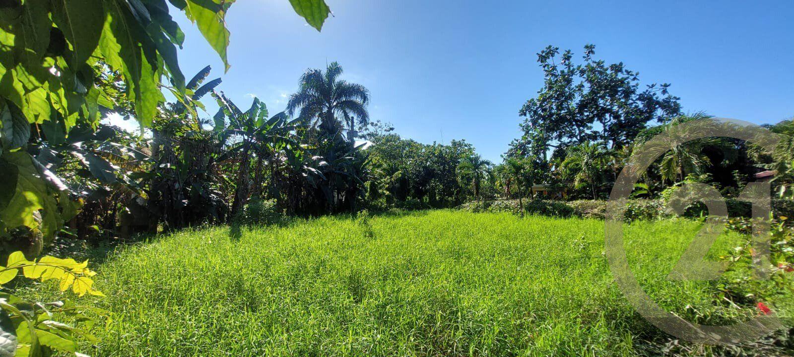 Residential Lot for sale in Sabaneta de Yásica, Sosúa — photo 4