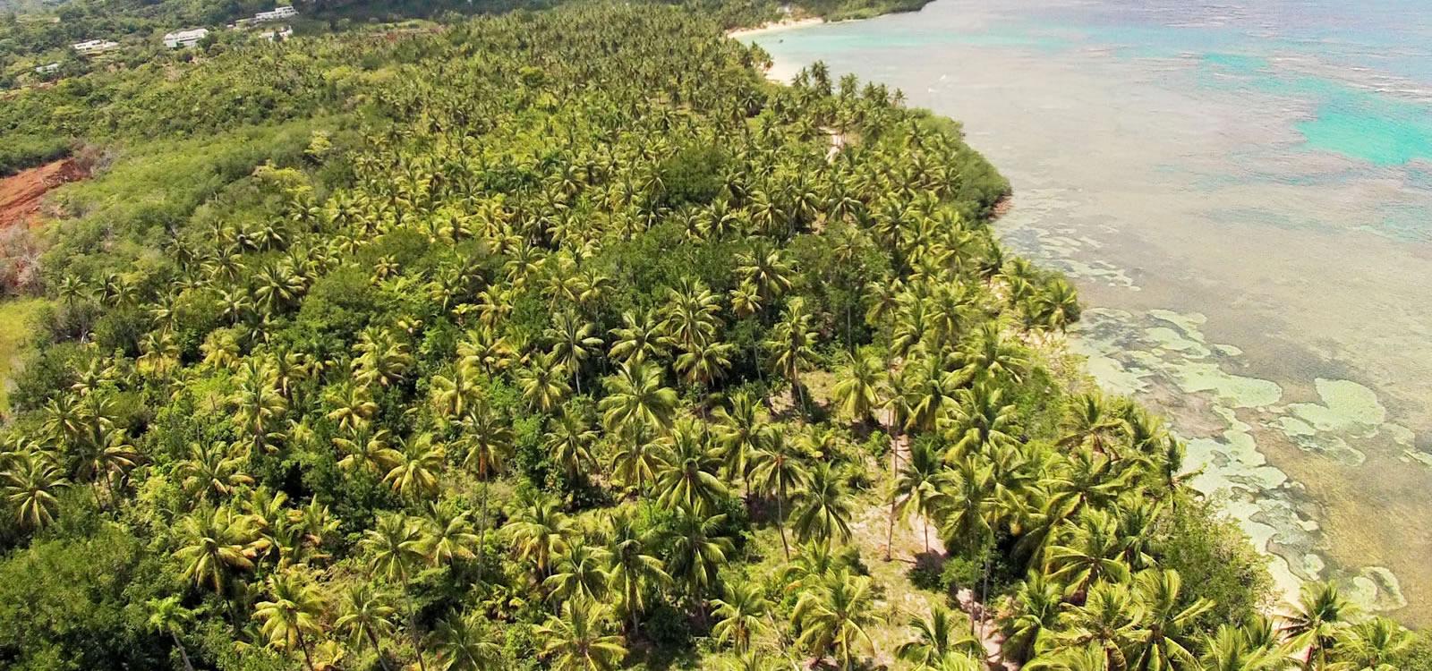 94 Acres Beachfront Land for Sale near Las Terrenas, Samana — photo 4