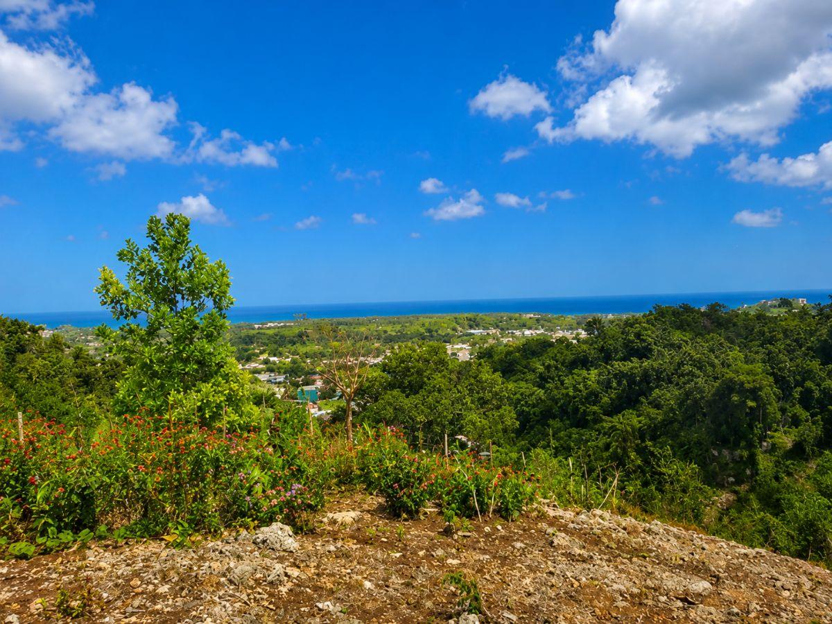 Buildable Plot with Sea View - Hoyo Cacao, Las Terrenas — photo 1