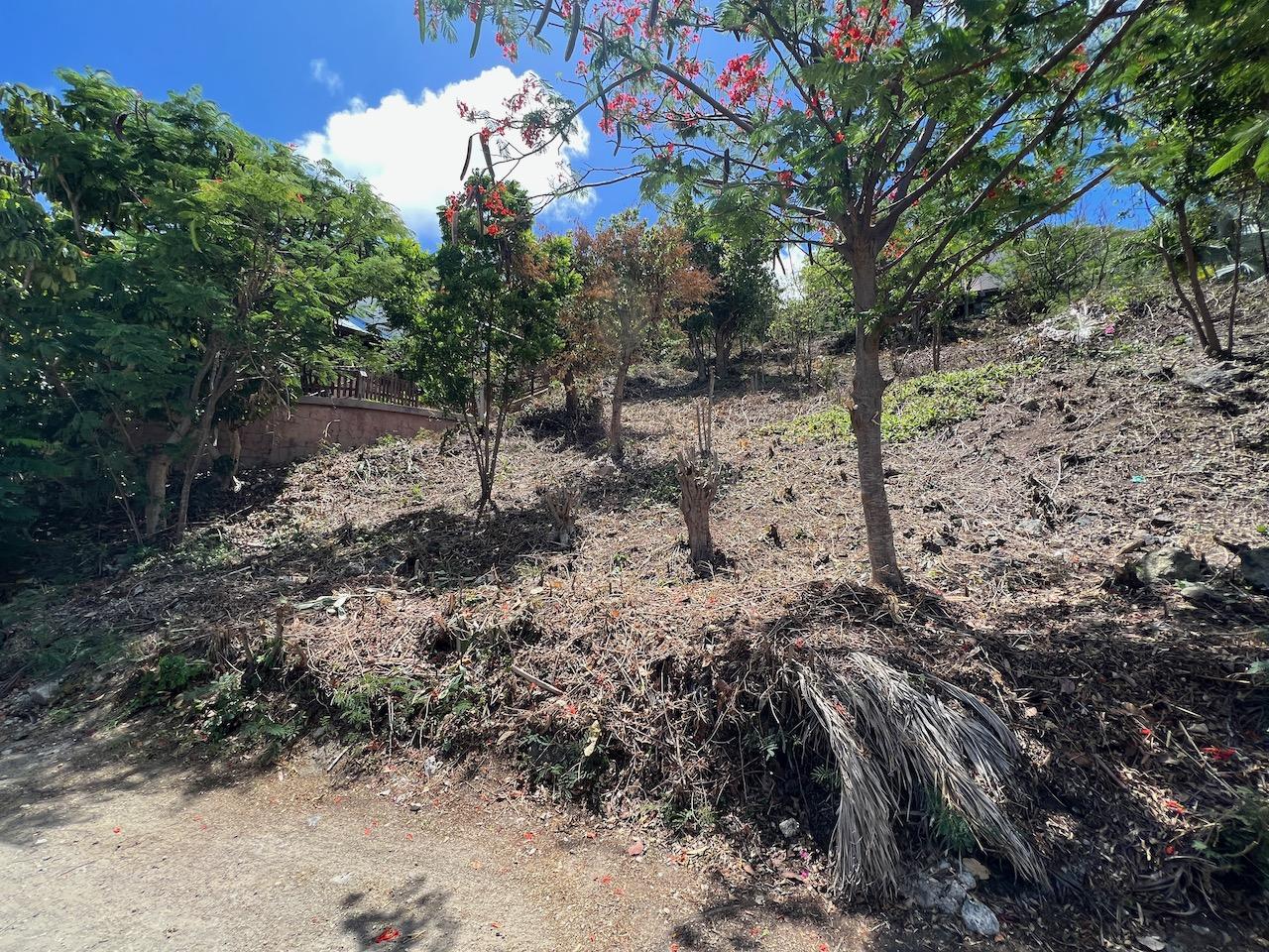 0.28 Acres of Land for Sale in Almond Grove Estate, Cole Bay, St Maarten — photo 5