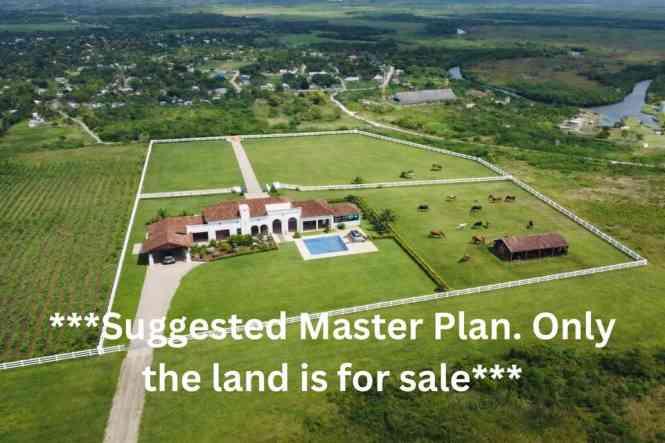 20.74 Acre Fertile Farmland in Libertad Village, Corozal, Belize — photo 2