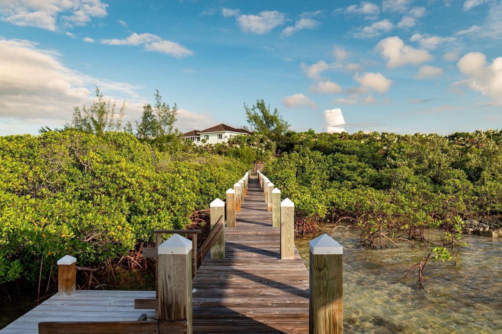 TURTLE POINTE — photo 4