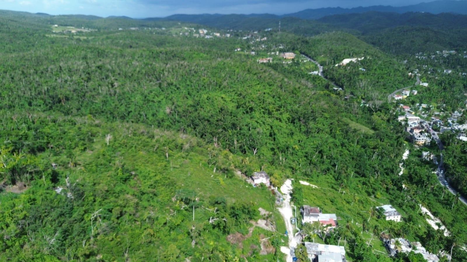 House for sale in Montego Bay, Jamaica — photo 2
