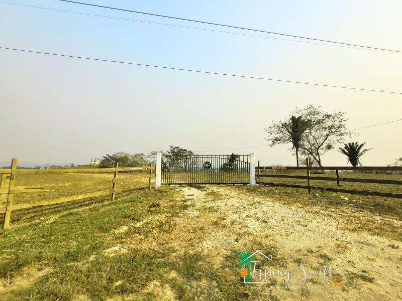 #4213 – 151 Acres of Land + 500' Belize River Frontage near Spanish Lookout, Cayo District, Belize — photo 4