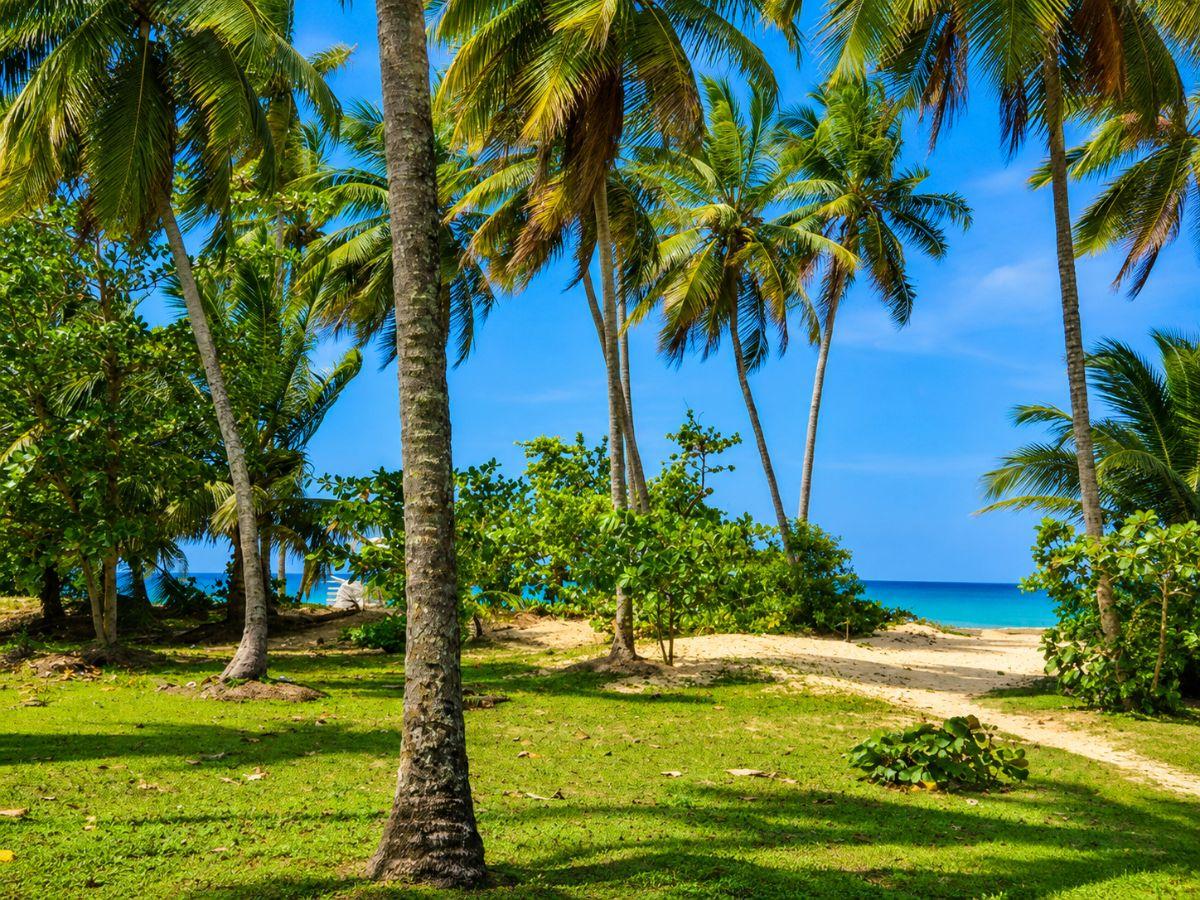 Exceptional Beachfront Building Plot – Portillo, Las Terrenas — photo 1