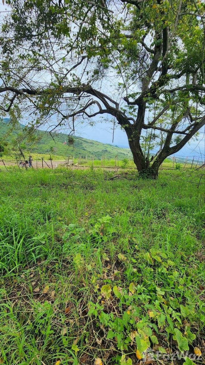 🌊🏞️ Live Between the Sea and the Mountains in Puerto Plata 🏞️🌊 — photo 5