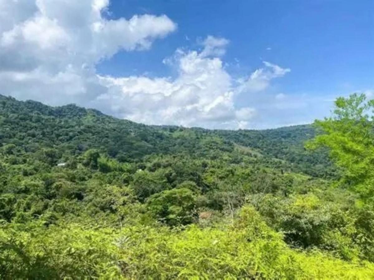 LOT 2, SAN SALVADOR — photo 4