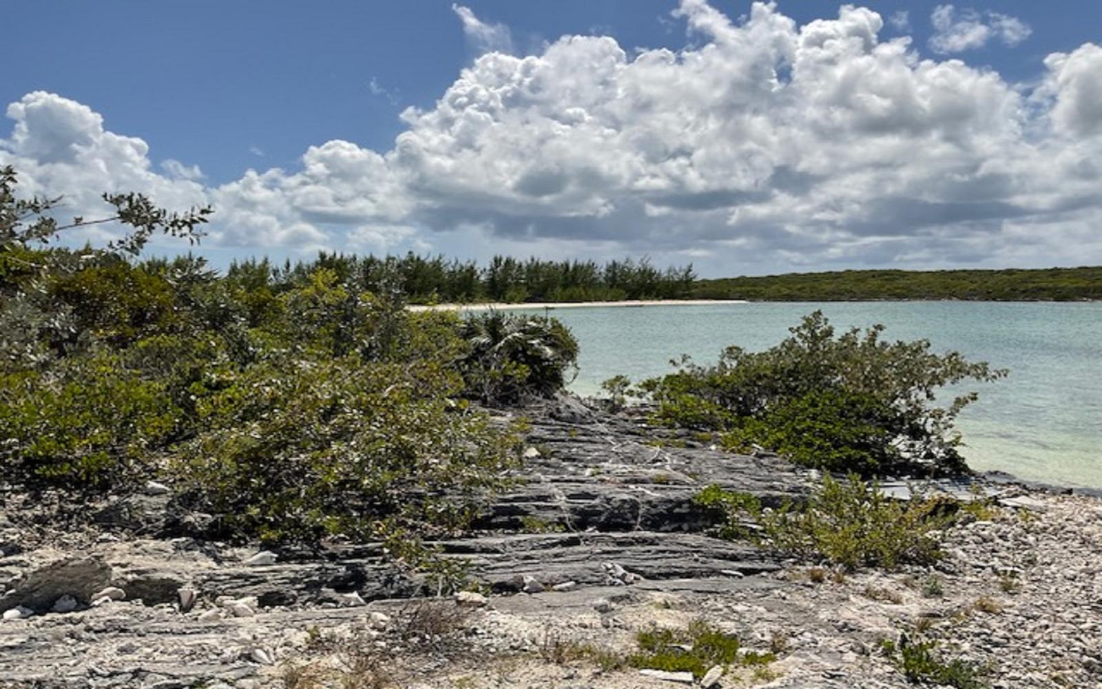 Vacant Land for sale - Lot C Little Harbour, Roses, Bahamas — photo 4