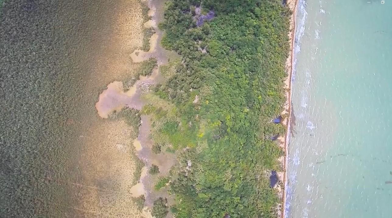 103-Acre Sea and River Front Lot with Half Mile of Beach and River Frontage — photo 5