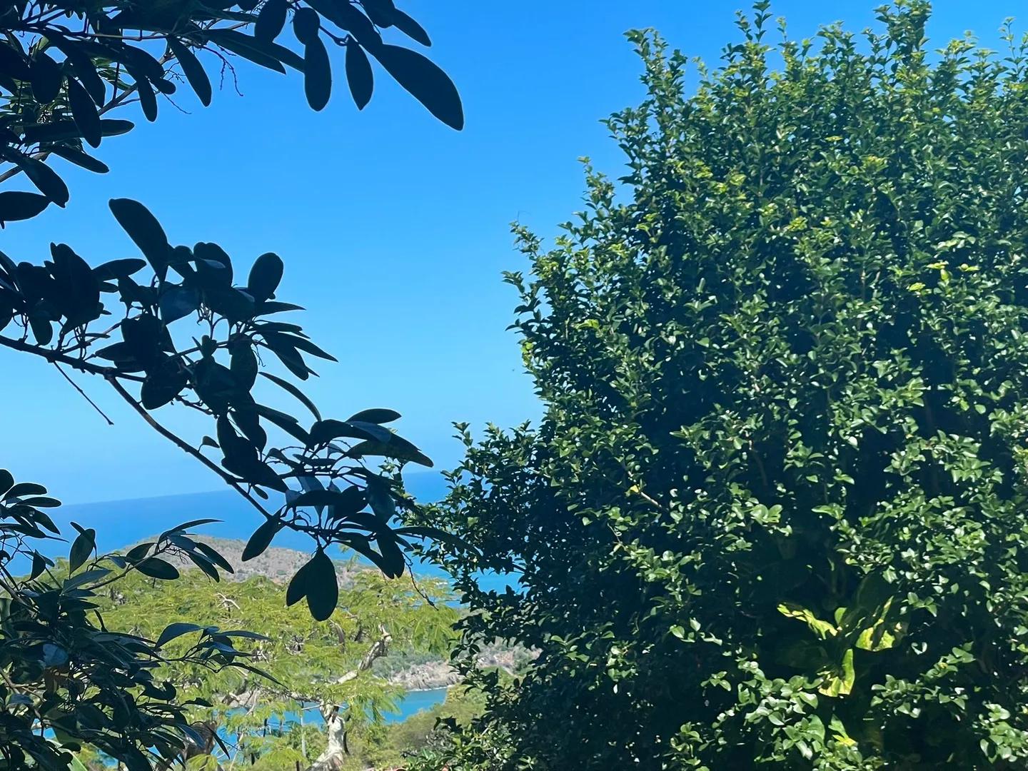 0.32 Acre Homesite in West Caret Bay, St. Thomas — photo 1