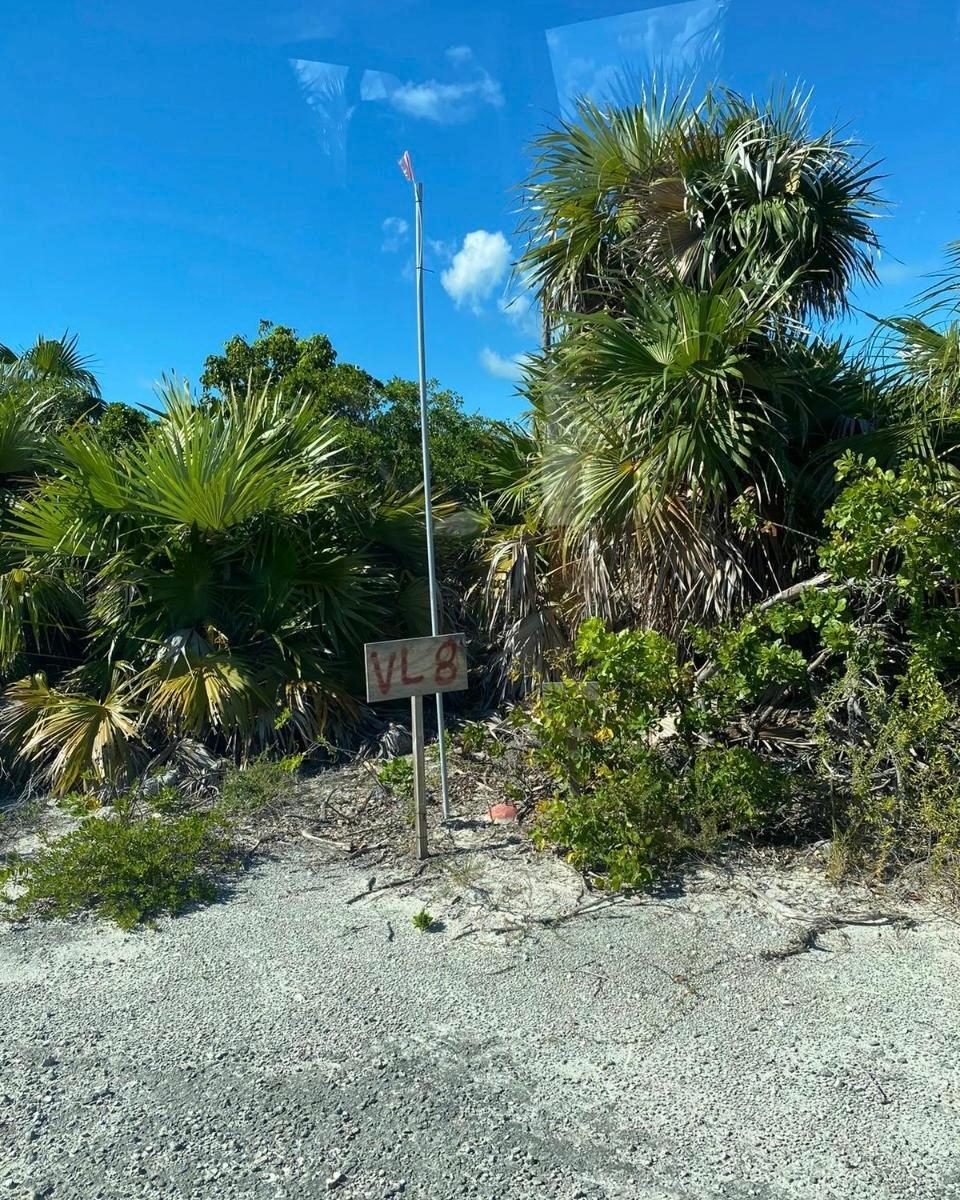 LOT #26, NORMAN’S CAY — photo 5