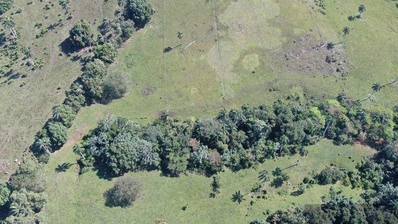 24.85-Acre Farm Land in La Cantera | Eco-Tourism Potential — photo 5