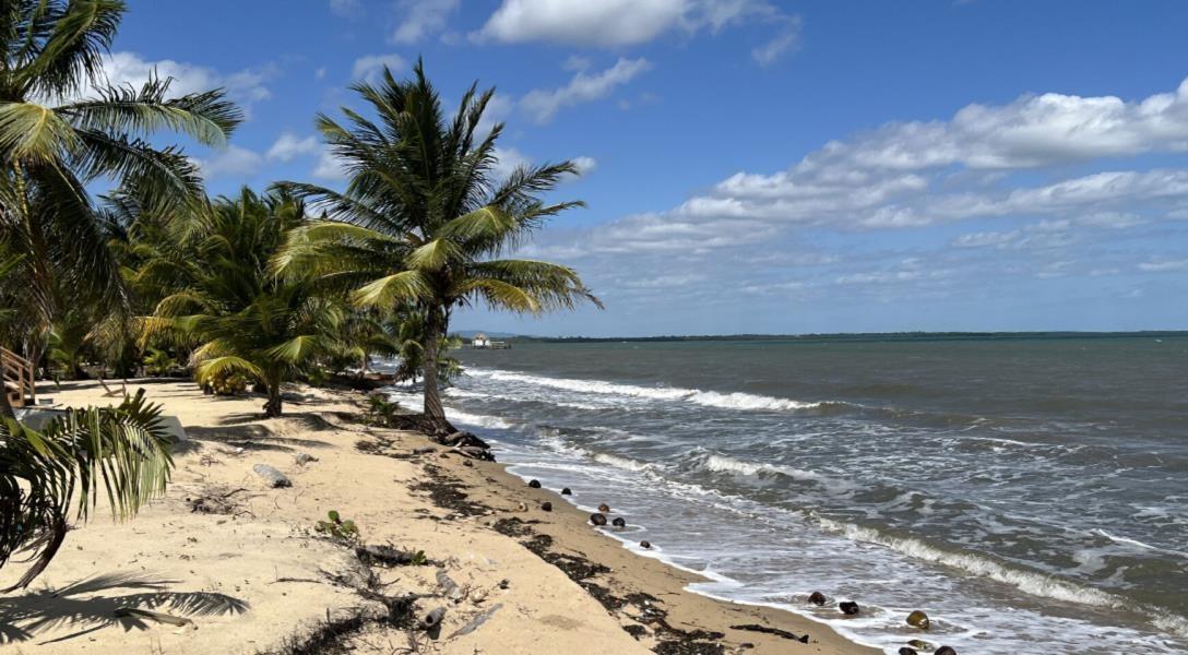 Three Pristine Beach Properties in Mayacan Development — photo 4
