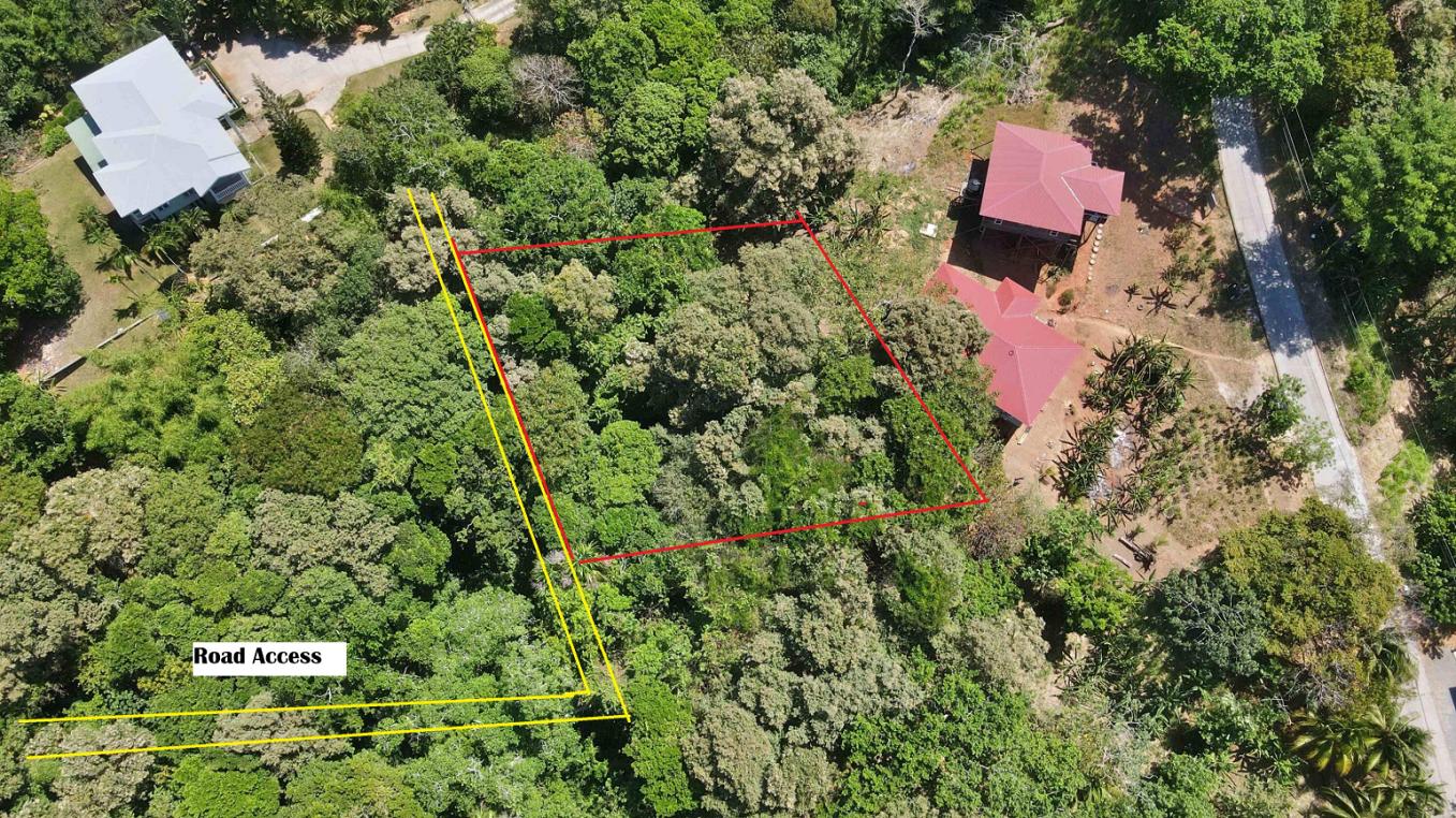 The Banks Roatan 0.21 Acre Opportunity at Orchid Beach — photo 2