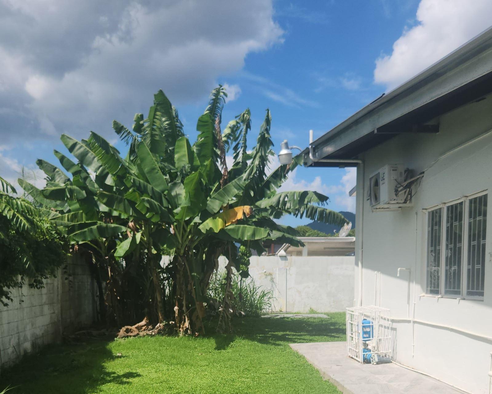5Br./3Ba Valsayn House +Land for Sale — photo 4