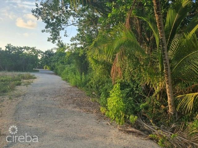 Cayman Brac House Lot On Harold Drive — photo 2