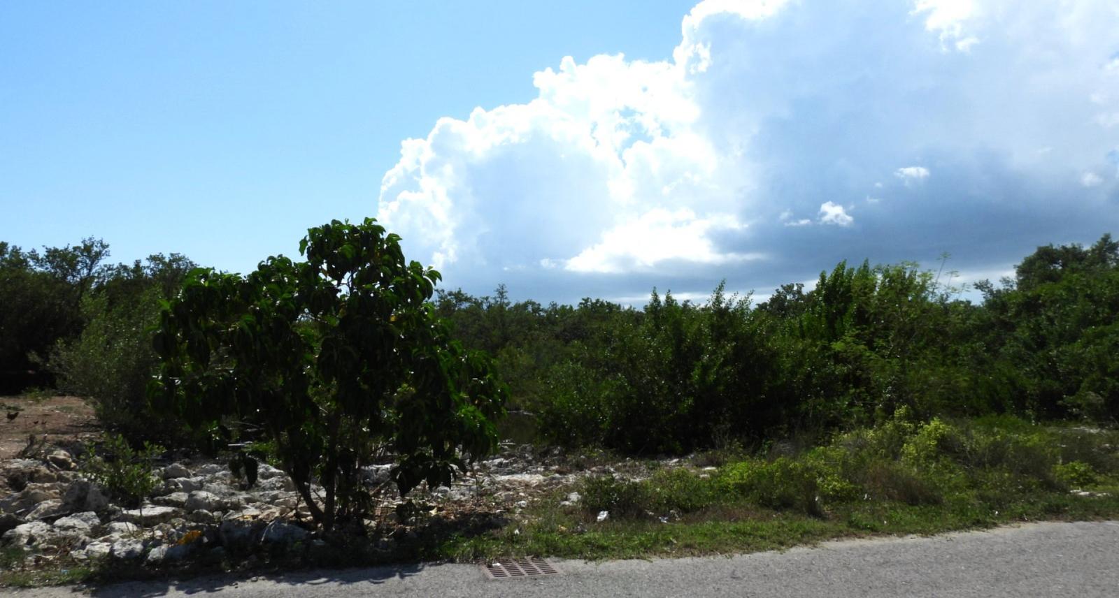 Freehold Land Lot in Breakers, Cayman Islands — photo 4