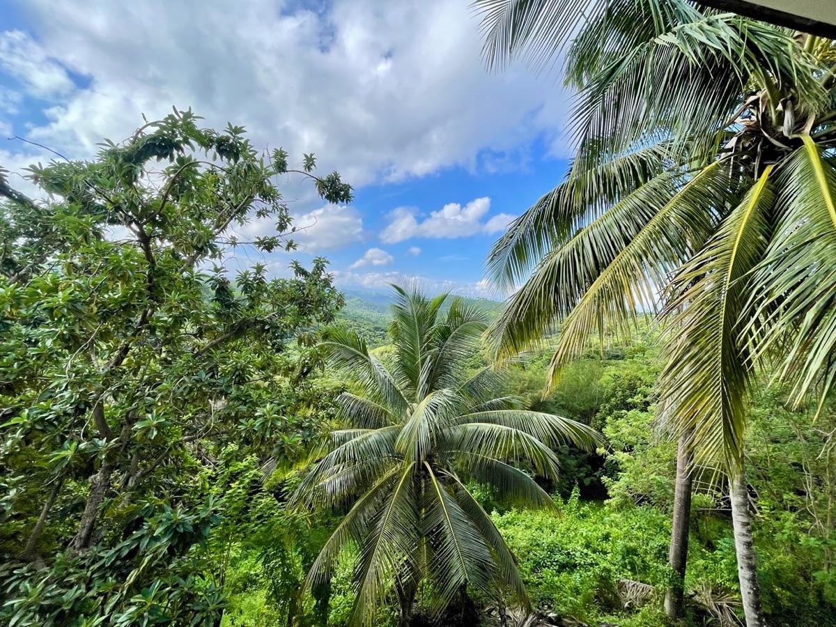 Exceptional Ocean View Land for Sale – Sosúa, Dominican Republic — photo 1