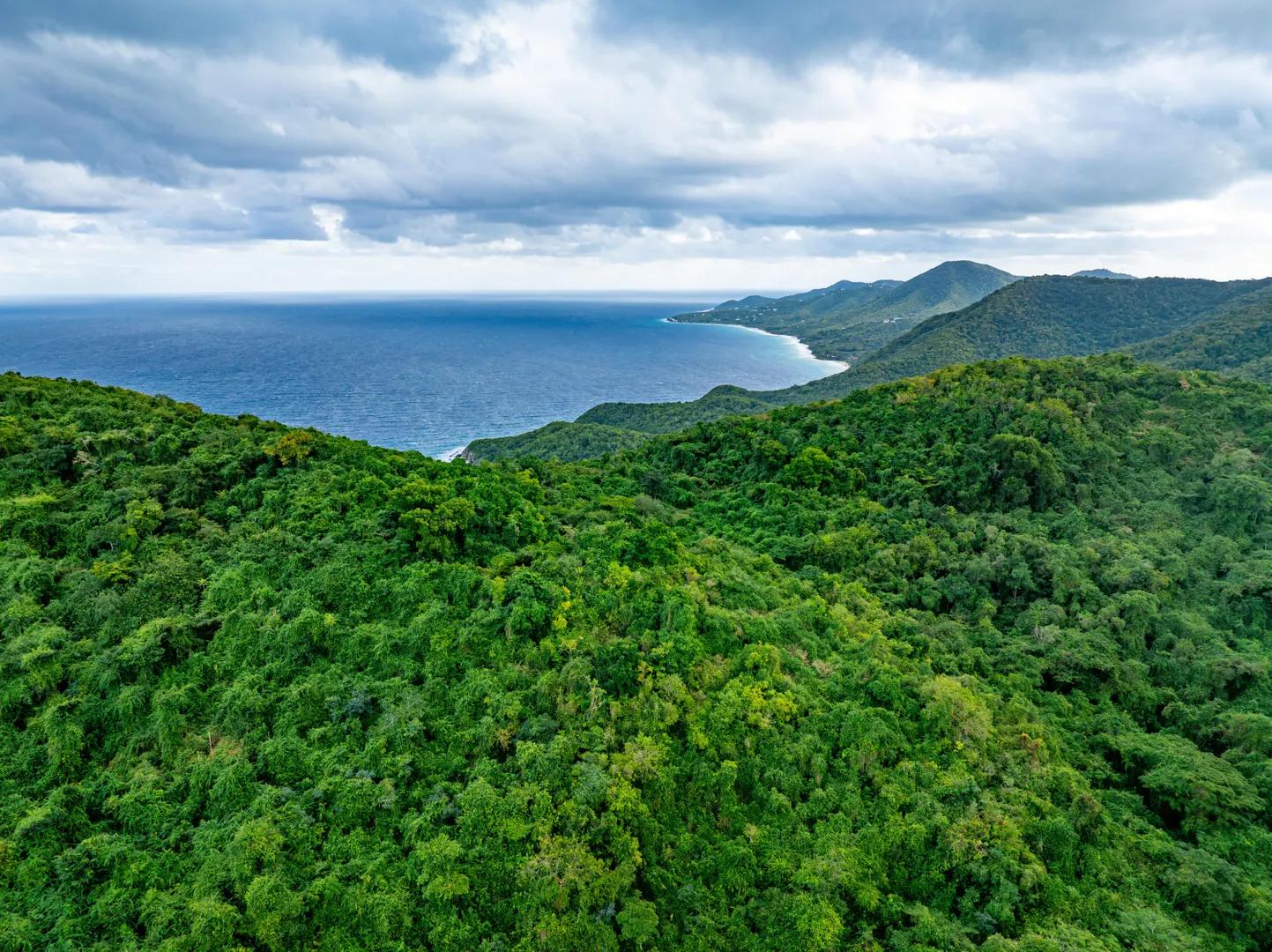 1 Acre Homesite in Spring Garden, St. Croix — photo 3