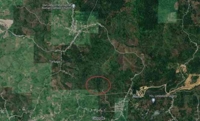 40 acres of undulating land in Tortuga, Trinidad — photo 1