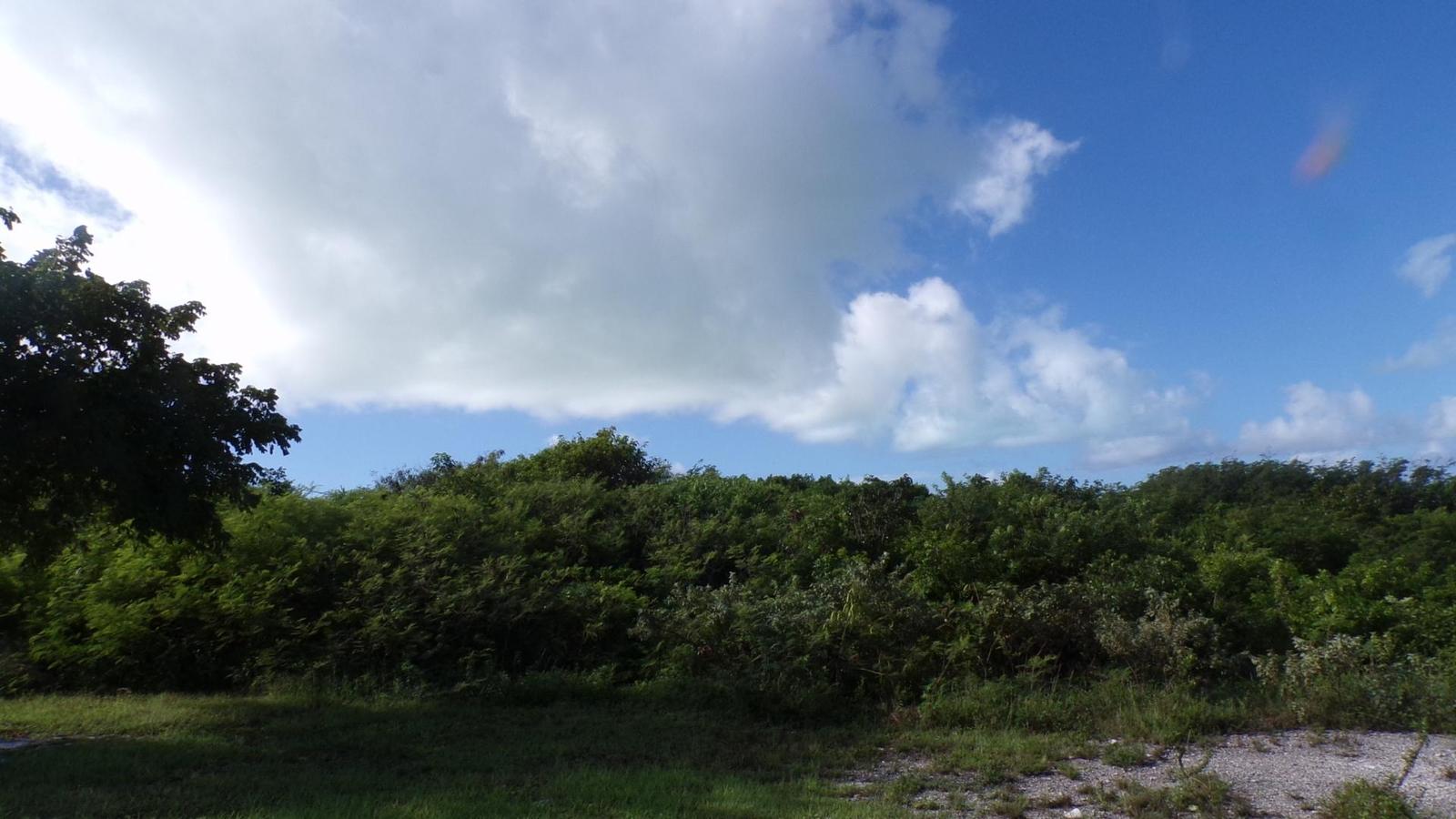 3.49 ACRES BUCKLEY’S — photo 2