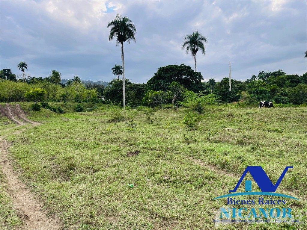 5,200 acre farm for sale in Imbert, Puerto Plata, Dominican Republic — photo 1