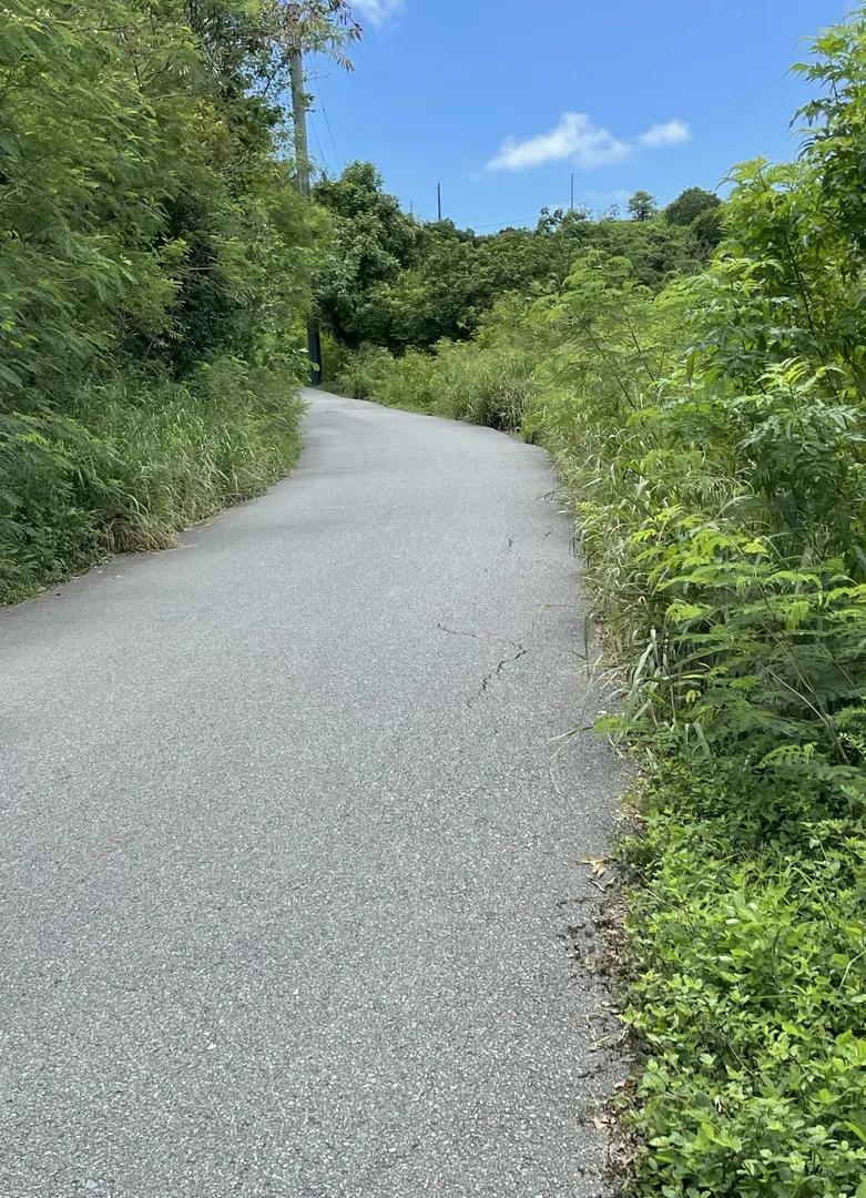 1.08 Acre Homesite Lot, Quarter East End — photo 5