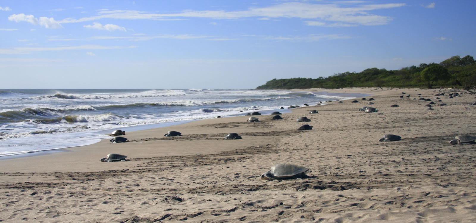 120 Acres Oceanfront Land for Sale, Rio Escalante-Chacocente Wildlife Refuge, Nicaragua — photo 2