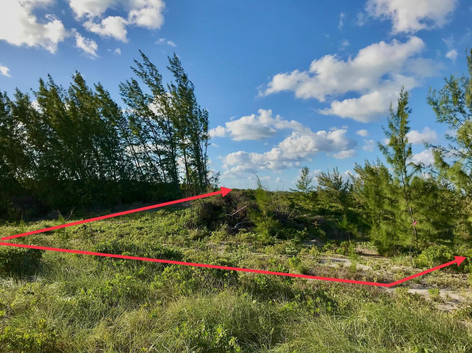 OCEAN VIEW LOT C1 GOVERNO — photo 3