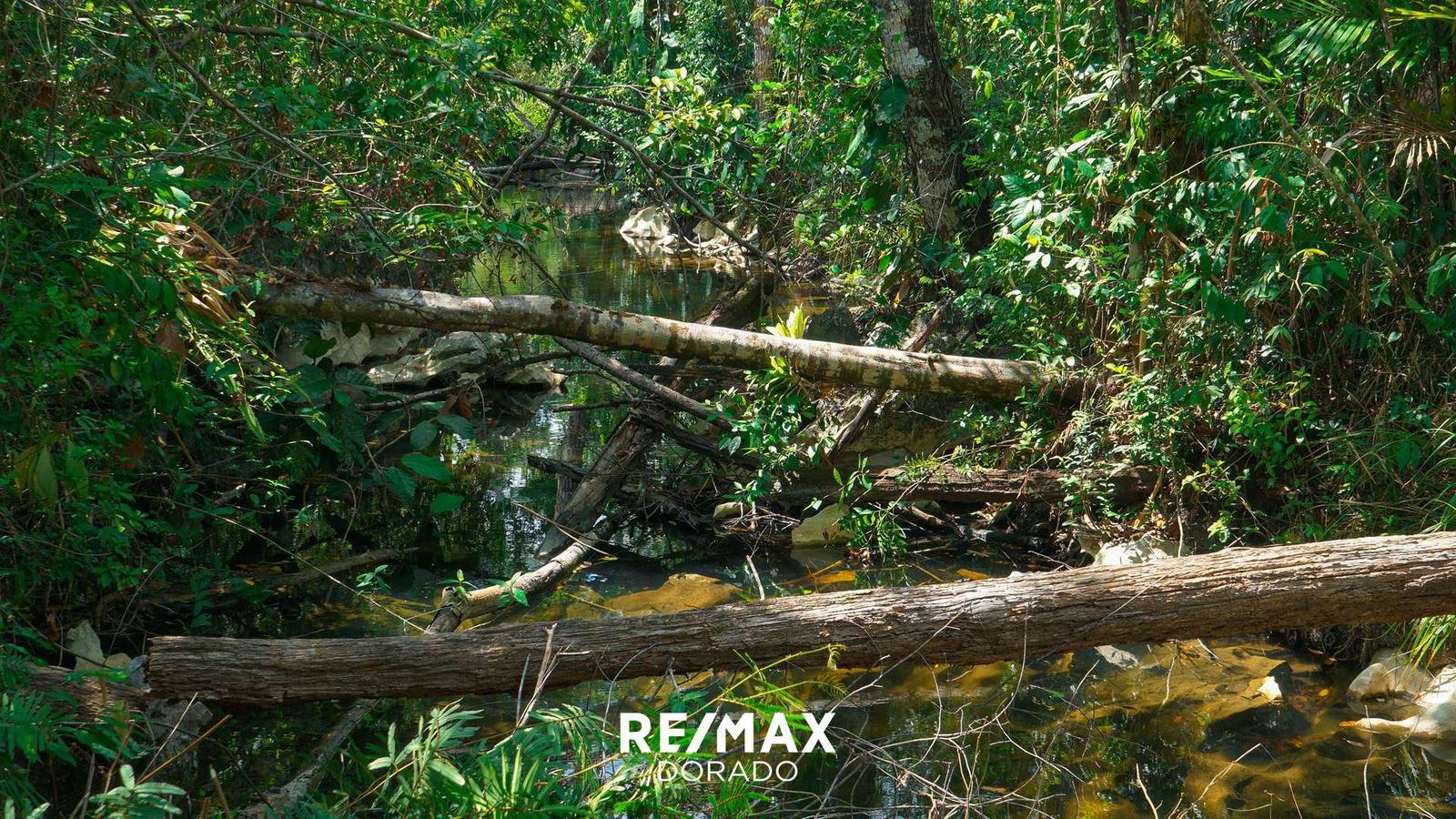 50 Acres Off-Grid Paradise with Mini River and Natural Spring & Year-Round Access — photo 1