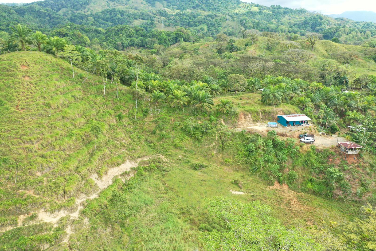 286 Acres of Land for Sale, Naranjito, Puntarenas, Costa Rica — photo 5