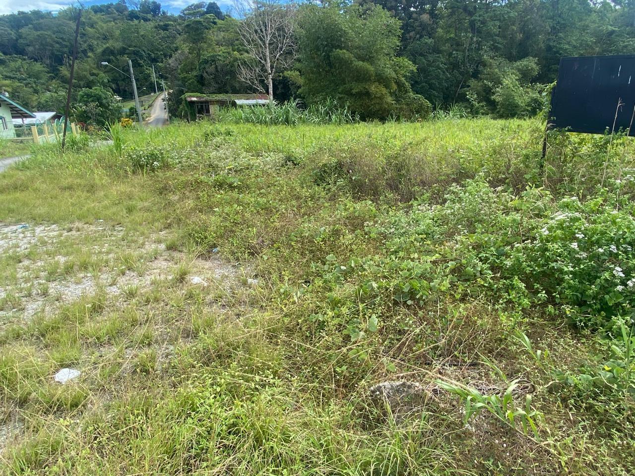 APPROVED PLOT FOR SALE (6,837 sq ft) - GUARACARA TABAQUITE ROAD — photo 3