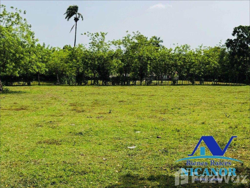 Cattle farm for sale of 825 tareas — photo 5