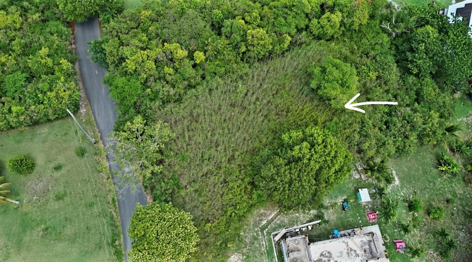 Homesite at 134 Morningstar Qu — photo 5