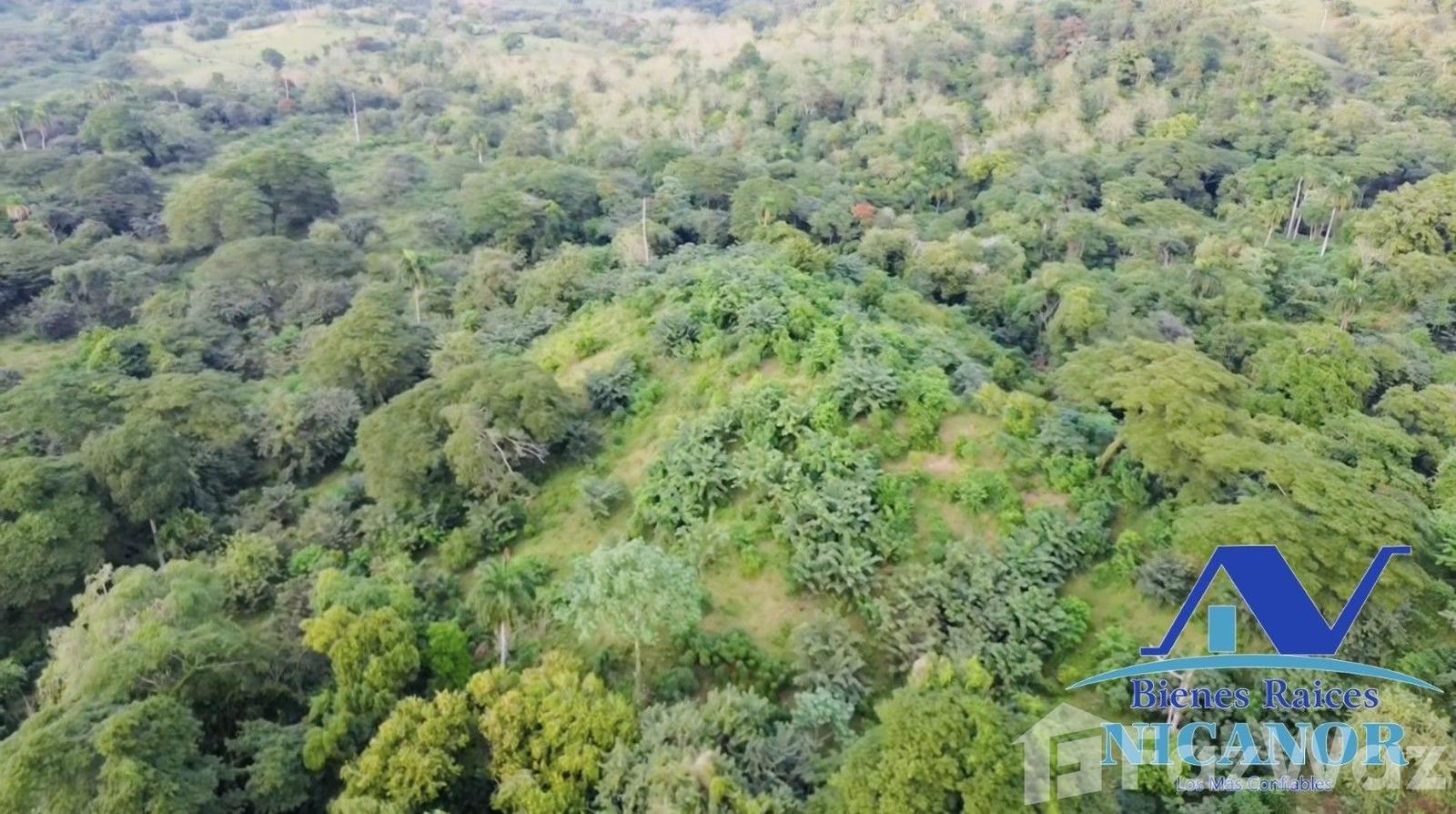 1,150 acre farm for sale in Guananico, Puerto Plata — photo 3