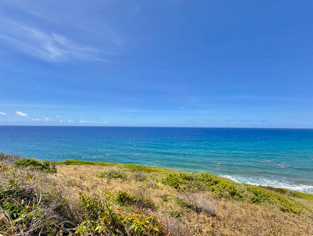 8-A Concordia NB 0.63 Acre Waterfront Lot with Ocean Views — photo 4